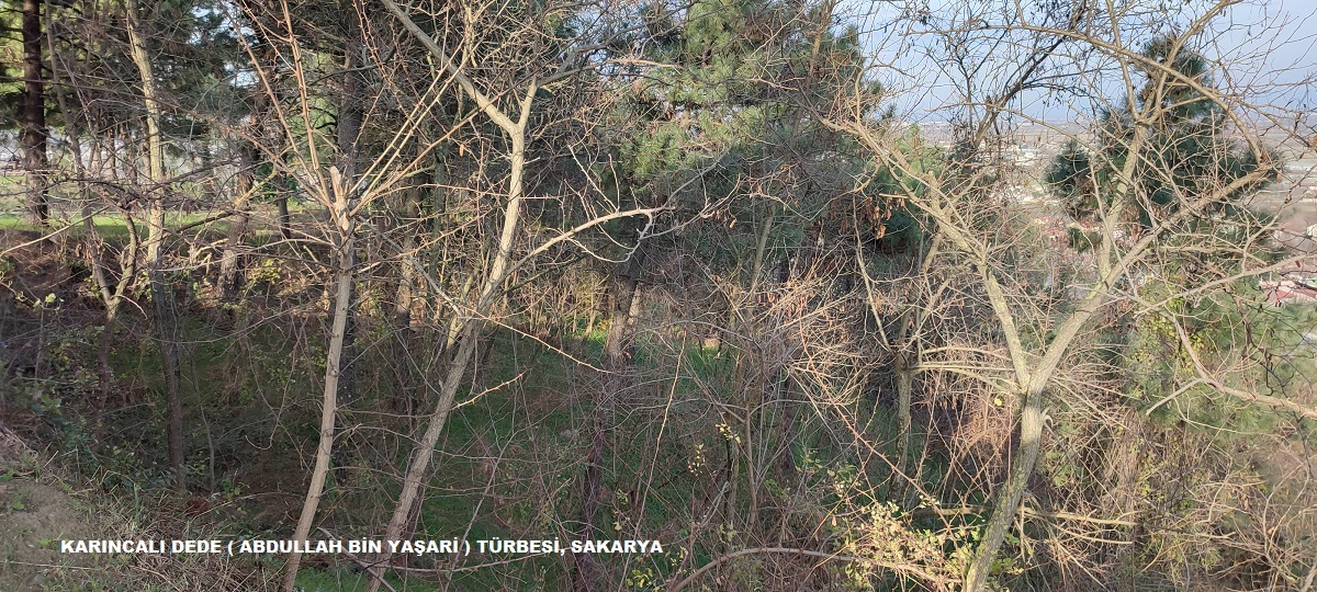 KARINCALI DEDE ABDULLAH BİN YAŞARİ TÜRBESİ, SAKARYA