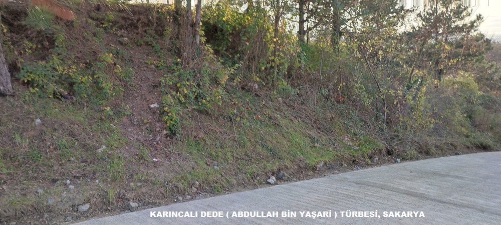 KARINCALI DEDE ABDULLAH BİN YAŞARİ TÜRBESİ, SAKARYA