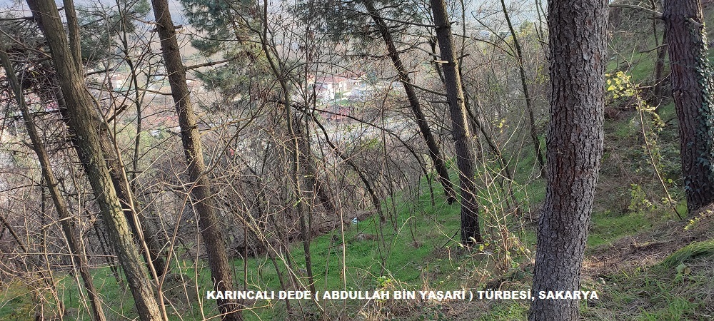 KARINCALI DEDE ABDULLAH BİN YAŞARİ TÜRBESİ, SAKARYA