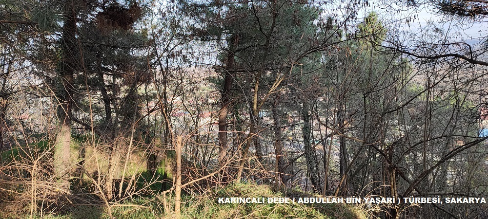 KARINCALI DEDE ABDULLAH BİN YAŞARİ TÜRBESİ, SAKARYA