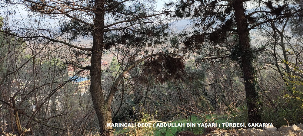 KARINCALI DEDE ABDULLAH BİN YAŞARİ TÜRBESİ, SAKARYA