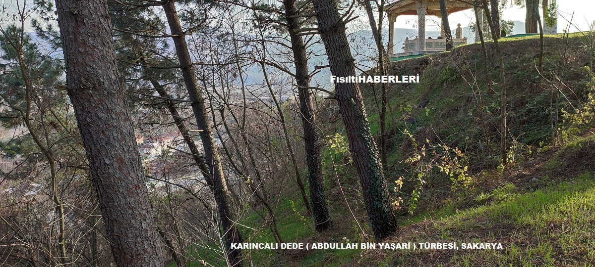 KARINCALI DEDE ABDULLAH BİN YAŞARİ TÜRBESİ, SAKARYA