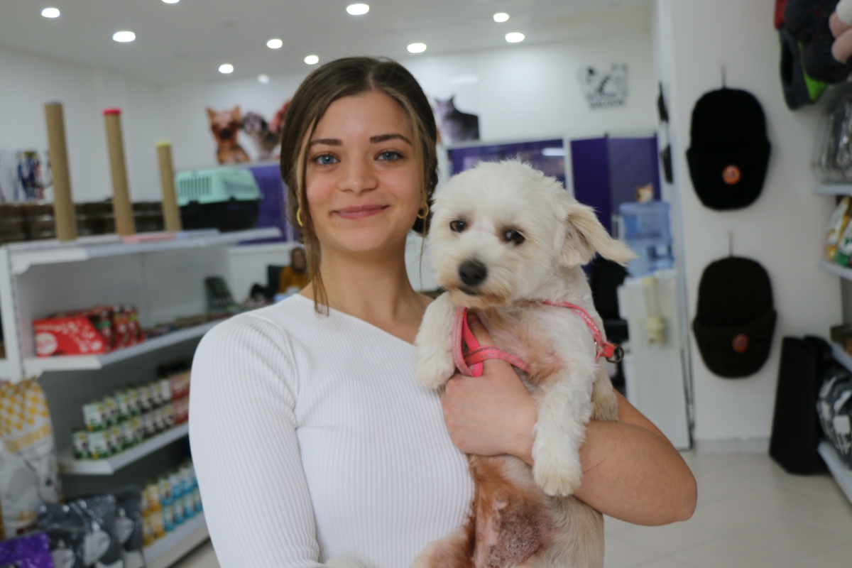 PATİ PERİ Elif Büşra KELAĞALAR Pet Kuaför & Pet Market Sakarya'da 