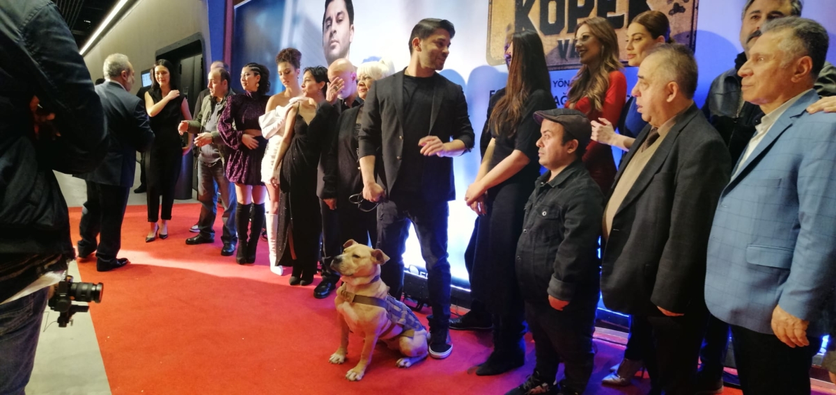 Dikkat Köpek Var; Film Galasından Görüntüler