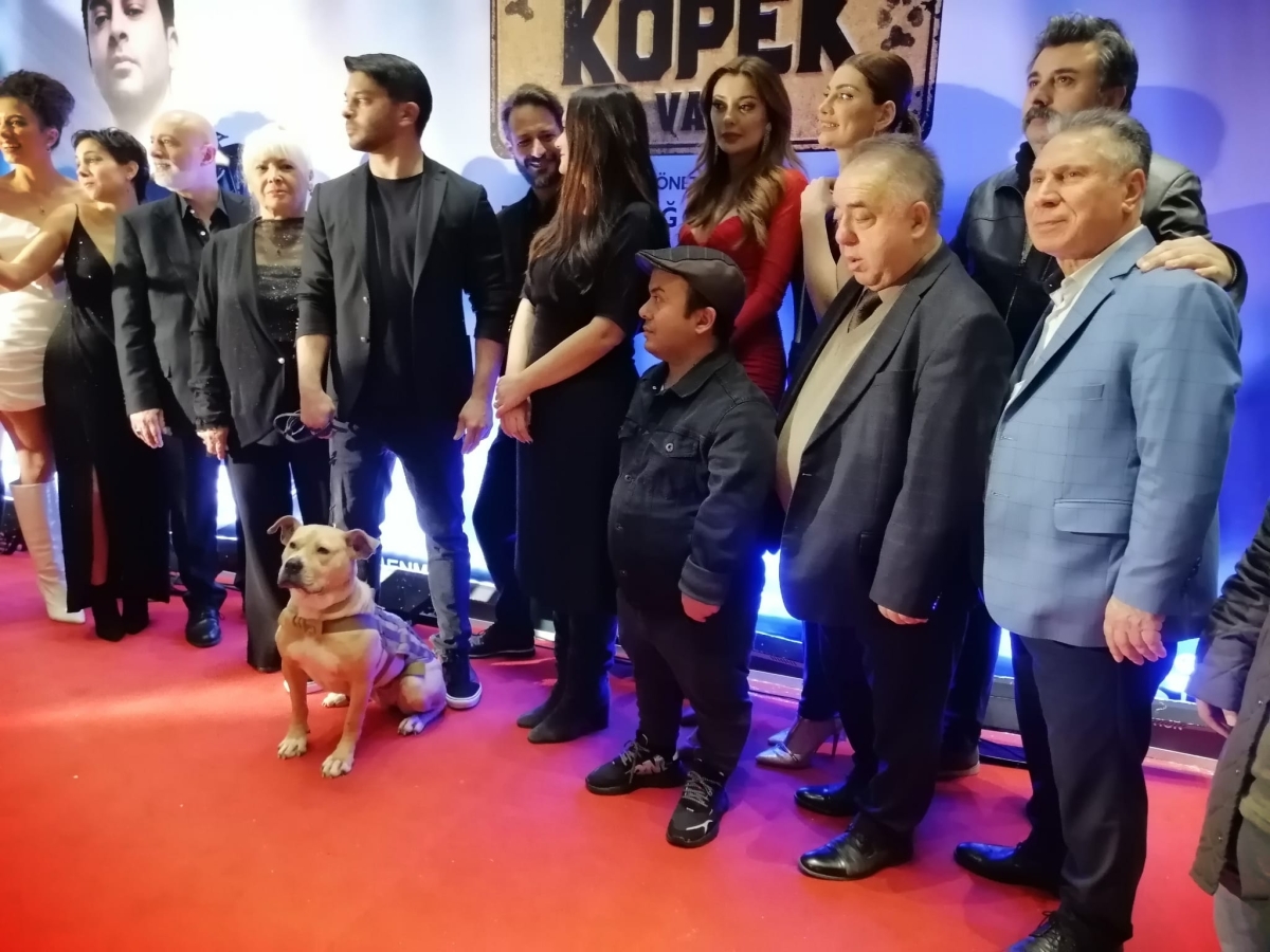 Dikkat Köpek Var; Film Galasından Görüntüler