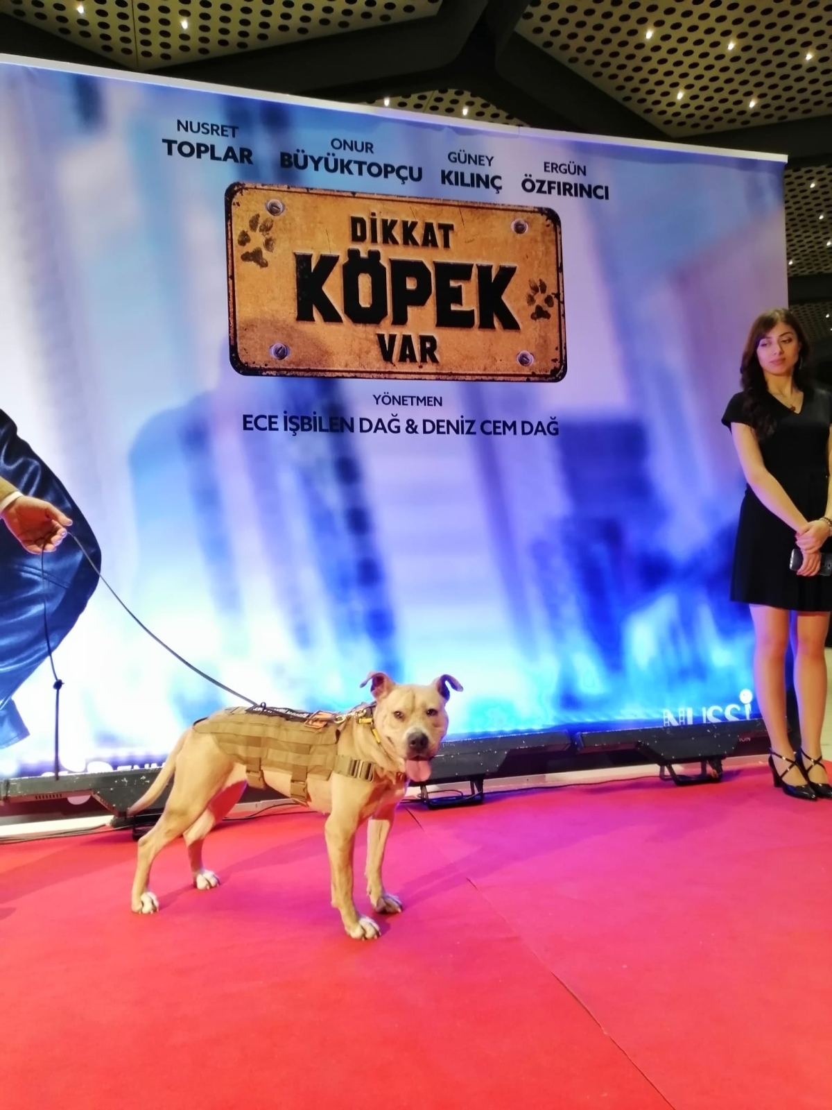 Dikkat Köpek Var; Film Galasından Görüntüler