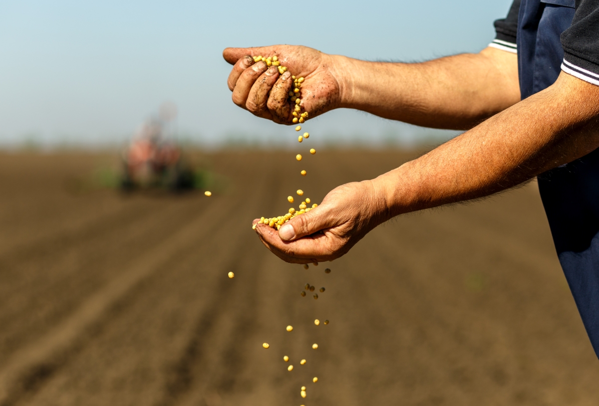 2022 yılında tarım sektörleri altın çağını yaşadı