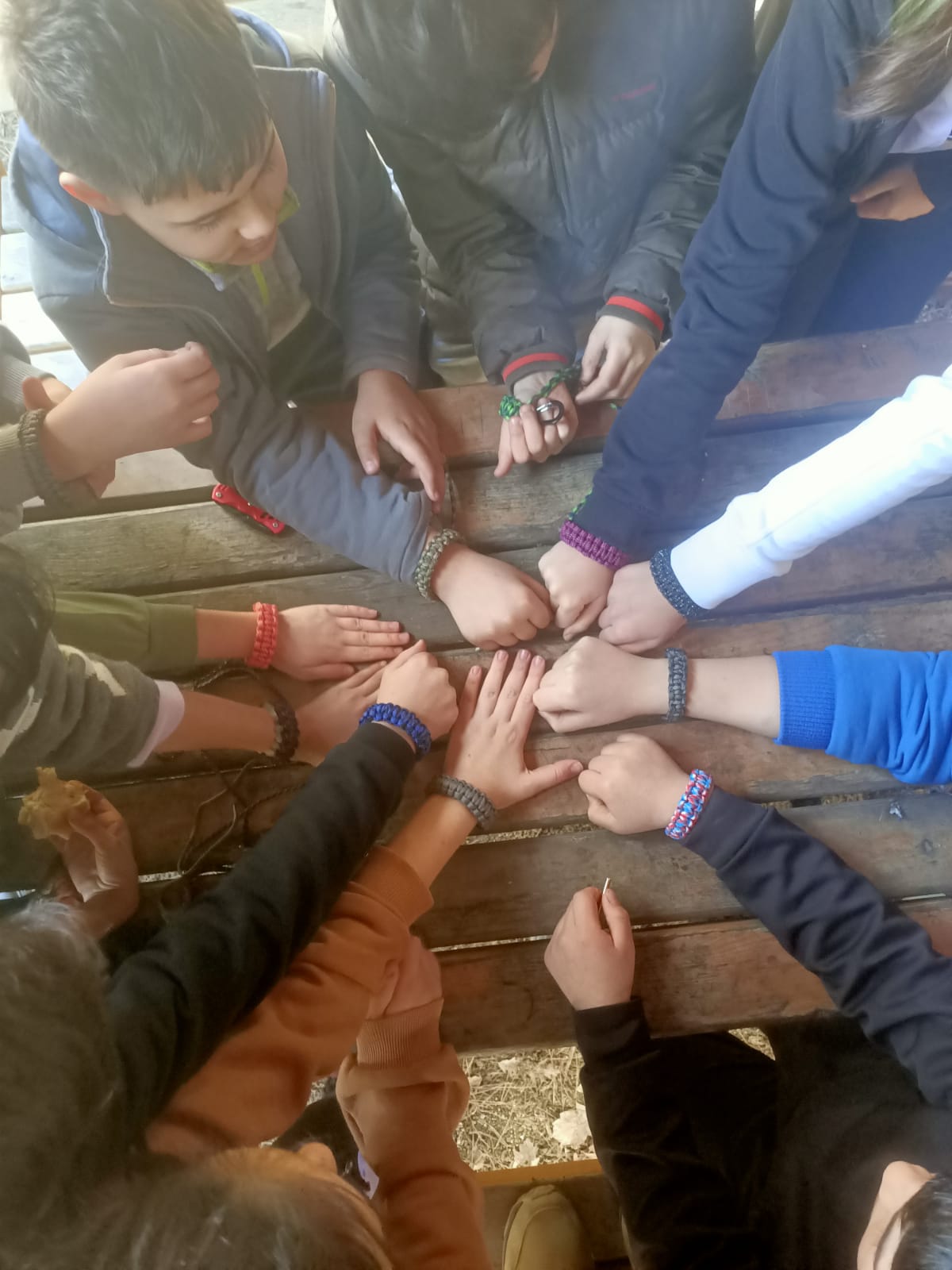 Sakarya Ormanları, Ahmet Akkoç Ortaokulu'nun Öğrencileri ve Öğretmenleri İçin Doğa Sınıfına Dönüştü