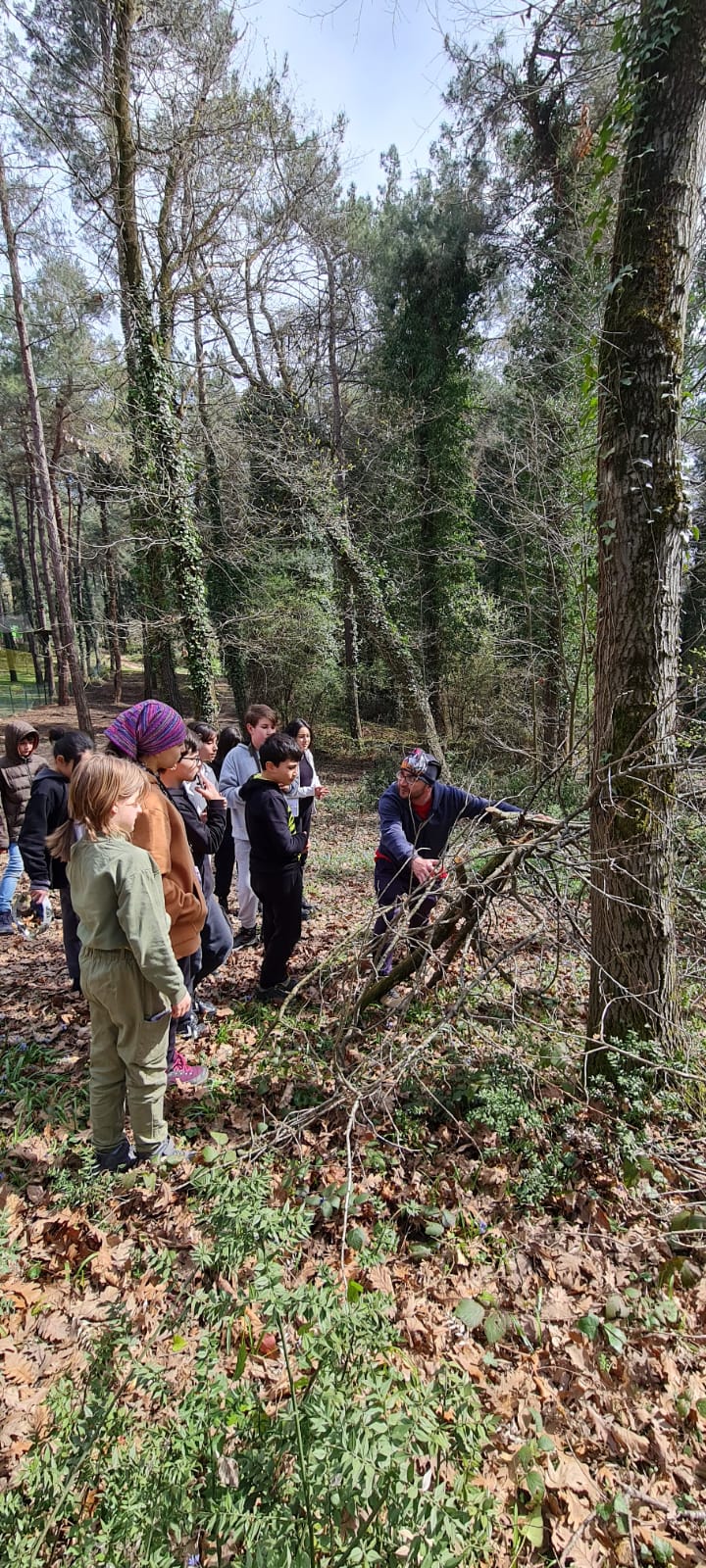 Sakarya Ormanları, Ahmet Akkoç Ortaokulu'nun Öğrencileri ve Öğretmenleri İçin Doğa Sınıfına Dönüştü