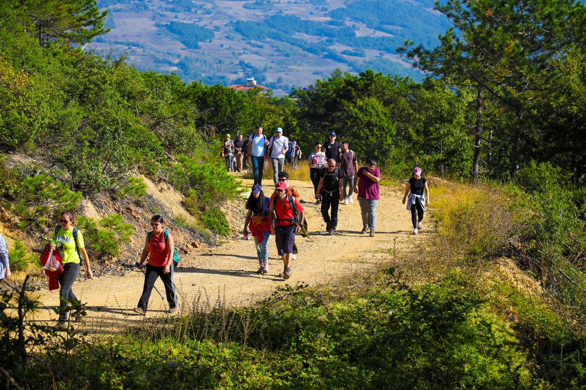 Sakarya'da Doğa tutkunları bin 54 rakımda doyumsuz bir manzaraya ulaştı