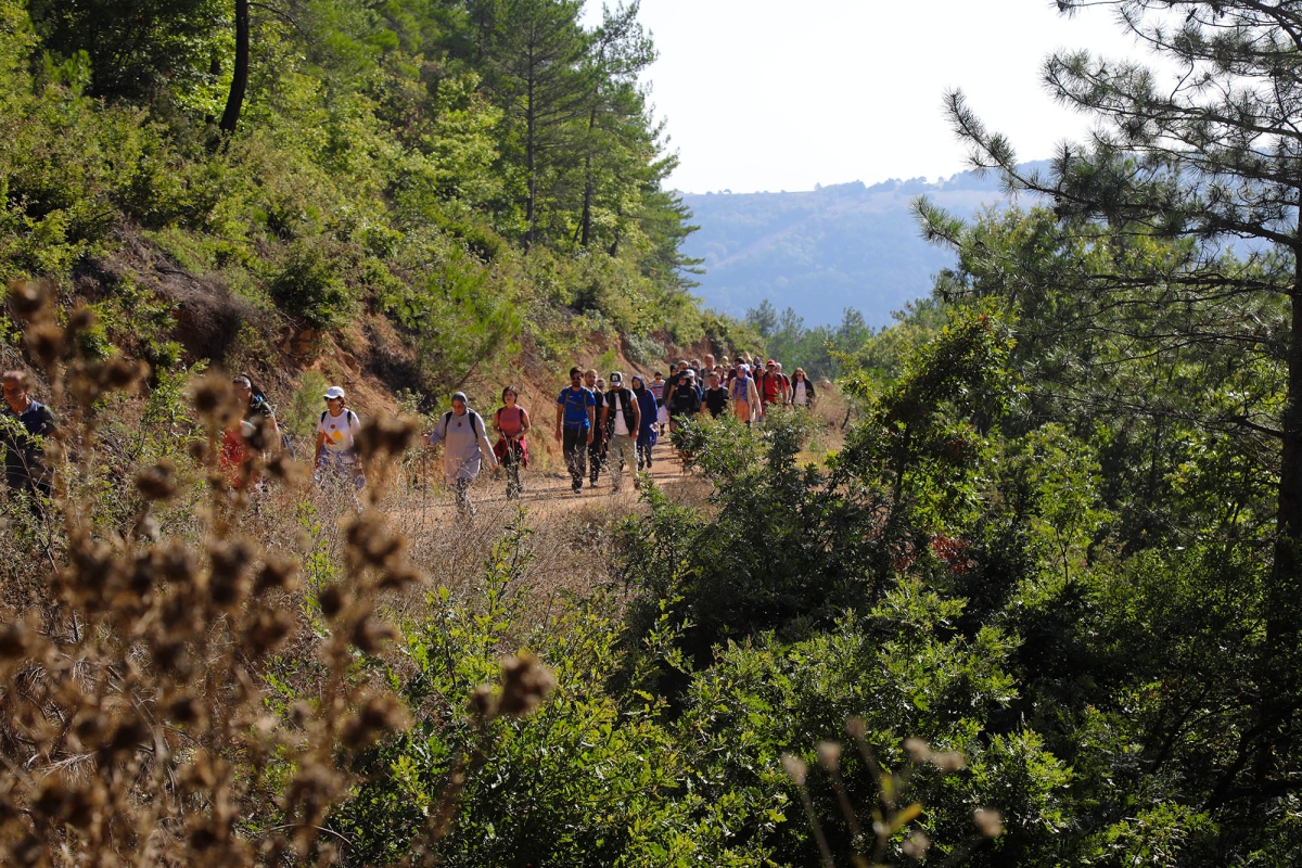 Sakarya'da Doğa tutkunları bin 54 rakımda doyumsuz bir manzaraya ulaştı