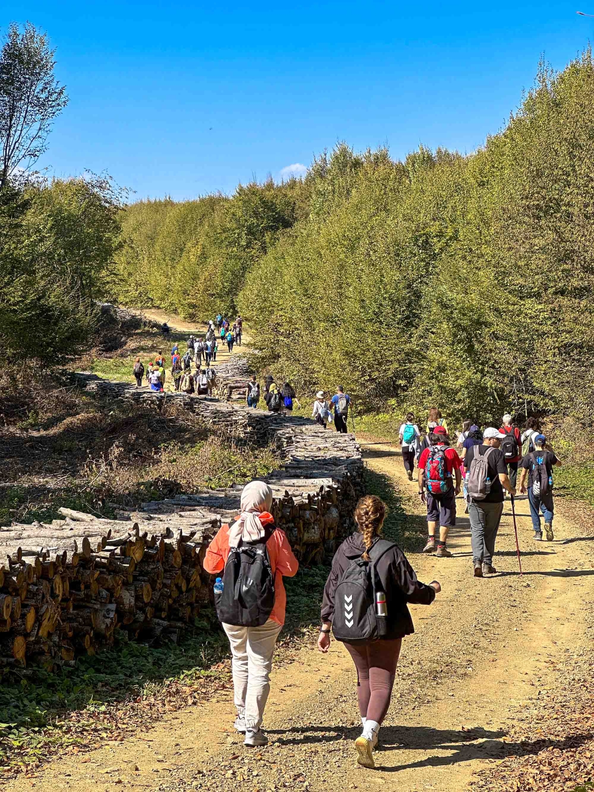 Sakarya'da Doğa tutkunları bin 54 rakımda doyumsuz bir manzaraya ulaştı