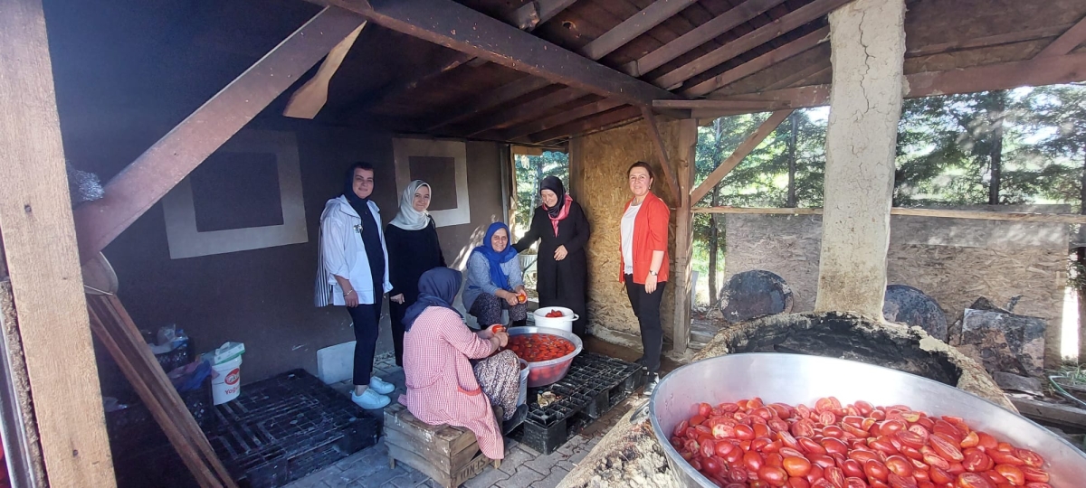 AK KADINLAR GEYVE’DE (İŞTE O KARELER)