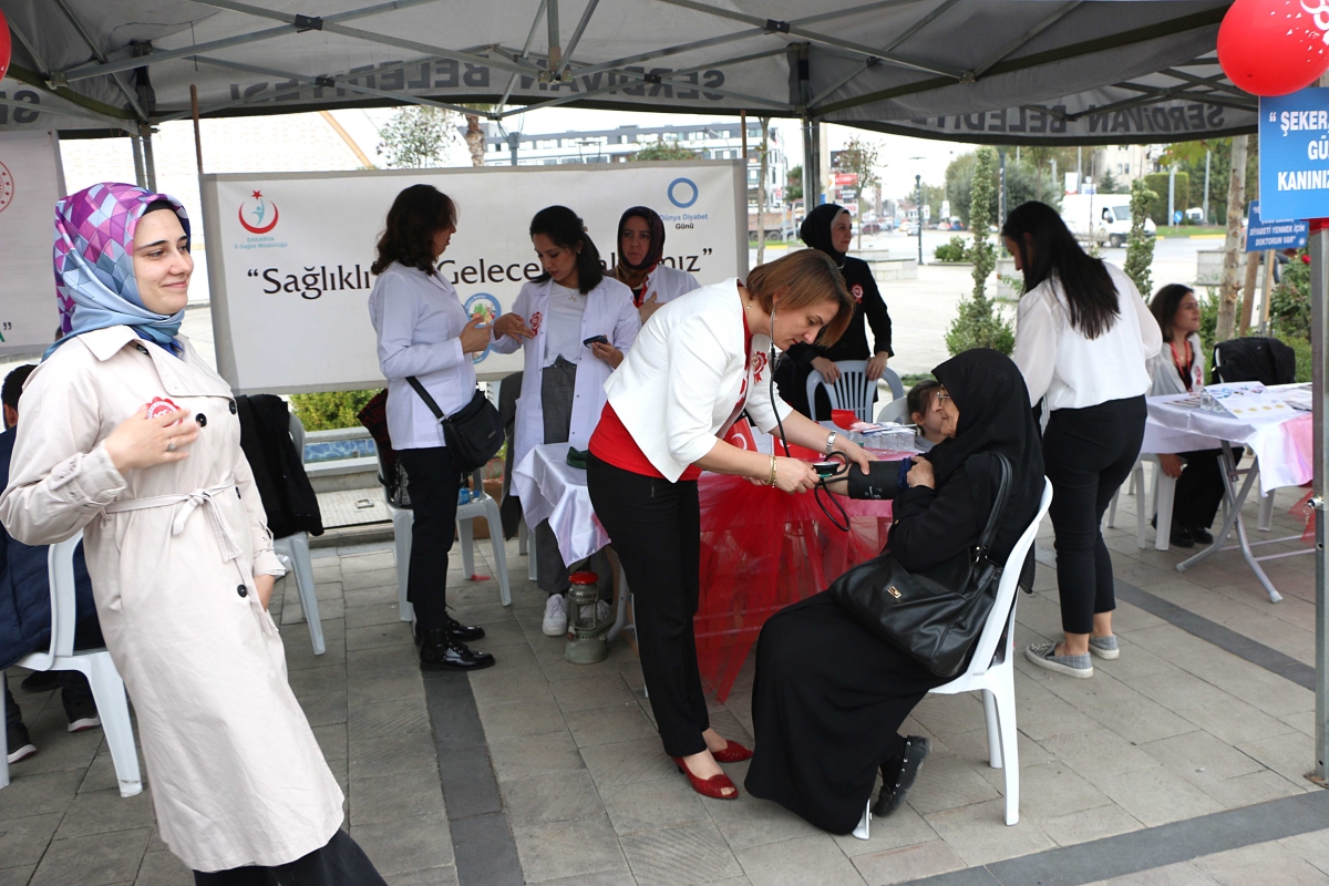 Sakarya'da Sağlıkçılar 100. Yılı kutladı