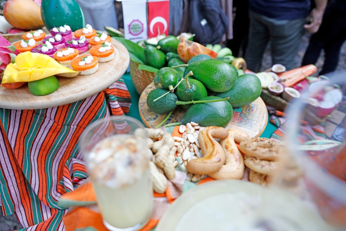 Gastronomi Festivali kapsamında Alanya’da düzenlenen tropikal meyve hasadını, Antalya Büyükşehir Belediye Başkanı Muhittin Böcek ve Alanya Belediye Başkanı Osman Tarık Özçelik birlikte gerçekleştirdi. ( İŞTE GÜNÜN ÖNE ÇIKAN F