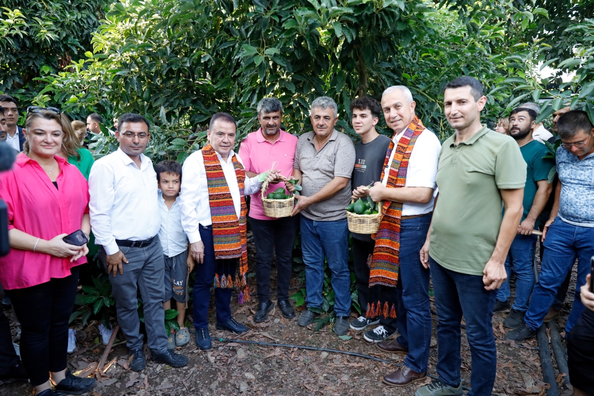 Gastronomi Festivali kapsamında Alanya’da düzenlenen tropikal meyve hasadını, Antalya Büyükşehir Belediye Başkanı Muhittin Böcek ve Alanya Belediye Başkanı Osman Tarık Özçelik birlikte gerçekleştirdi. ( İŞTE GÜNÜN ÖNE ÇIKAN F