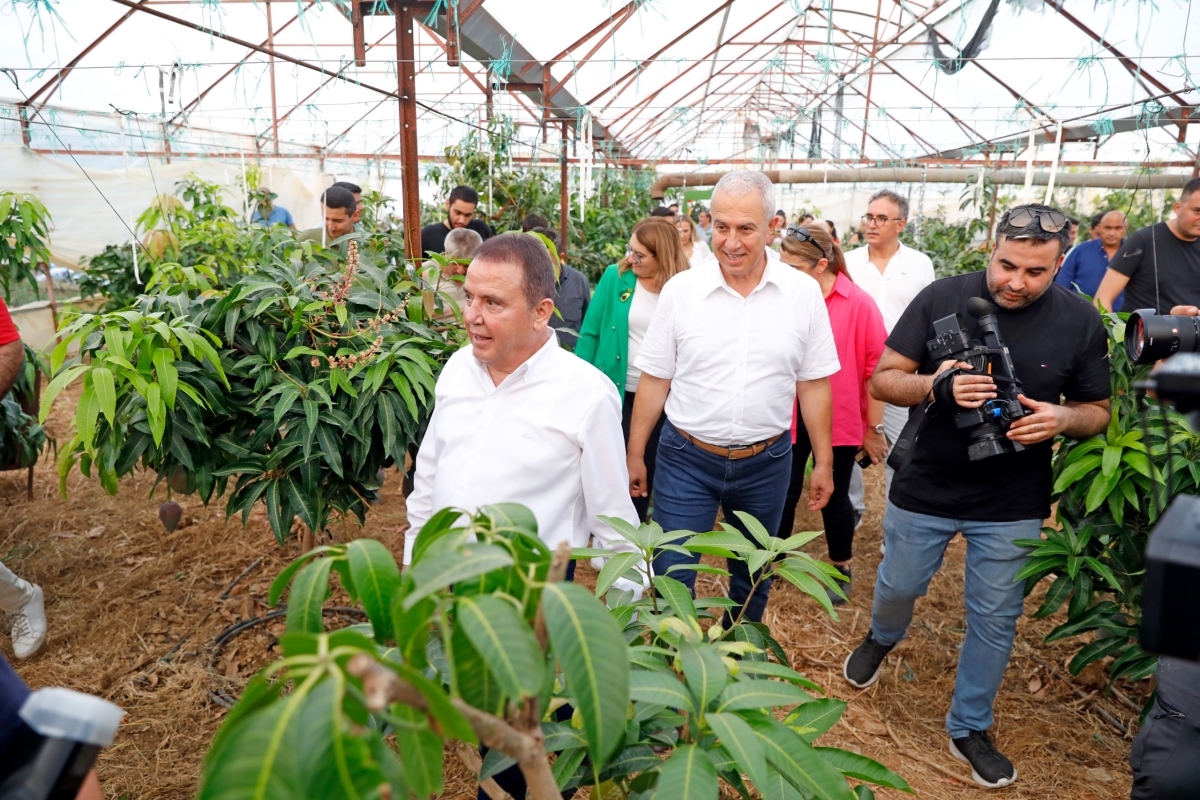Gastronomi Festivali kapsamında Alanya’da düzenlenen tropikal meyve hasadını, Antalya Büyükşehir Belediye Başkanı Muhittin Böcek ve Alanya Belediye Başkanı Osman Tarık Özçelik birlikte gerçekleştirdi. ( İŞTE GÜNÜN ÖNE ÇIKAN F
