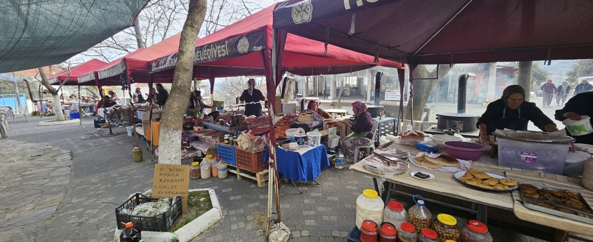Fısıltı Haberleri muhabiri ve Ada Bike Derneği Başkanı Yavuz Akova, 20-22 Mart tarihleri arasında Sakarya’dan düzenlenen Efeler Yolu Kültür Rotası gezisine katıldı. GEZİNİN ÖNE ÇIKAN FOTOĞRAF KARELERİ