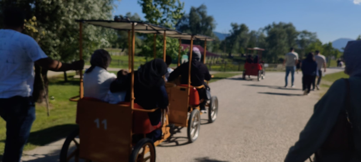 SAKARYA’DA GİRİŞLERİN ÜCRETSİZ OLDUĞU DOĞA CENNETİ: ARİFİYE GÖLYA TABİAT PARKI ZİYARETÇİLERİNİ BÜYÜLÜYOR! (GÜNÜN ÖNE ÇIKAN FOTOĞRAF KARELERİ )