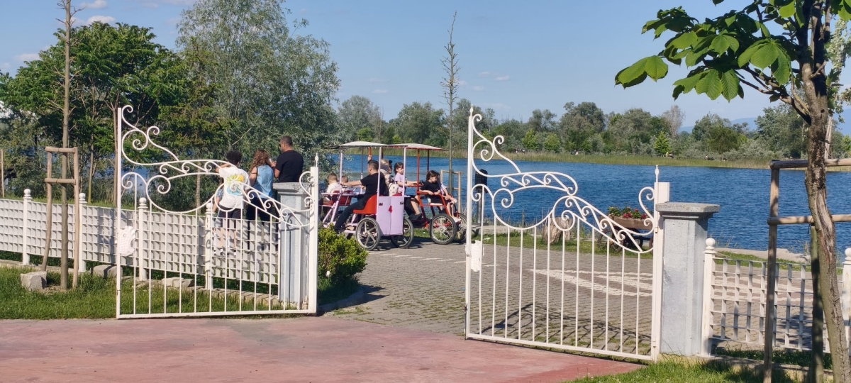 SAKARYA’DA GİRİŞLERİN ÜCRETSİZ OLDUĞU DOĞA CENNETİ: ARİFİYE GÖLYA TABİAT PARKI ZİYARETÇİLERİNİ BÜYÜLÜYOR! (GÜNÜN ÖNE ÇIKAN FOTOĞRAF KARELERİ )
