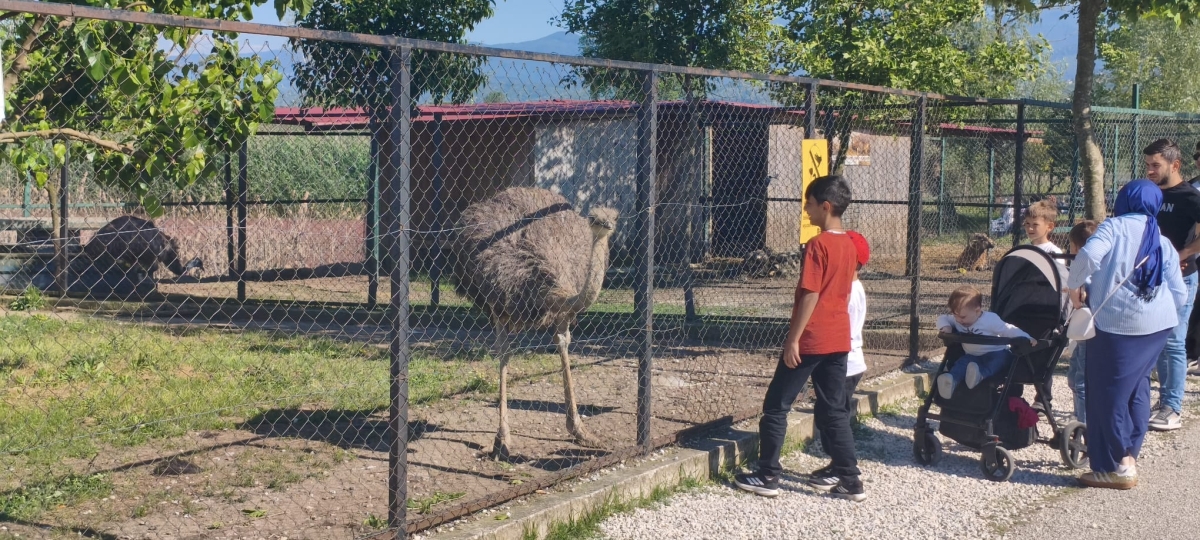 SAKARYA’DA GİRİŞLERİN ÜCRETSİZ OLDUĞU DOĞA CENNETİ: ARİFİYE GÖLYA TABİAT PARKI ZİYARETÇİLERİNİ BÜYÜLÜYOR! (GÜNÜN ÖNE ÇIKAN FOTOĞRAF KARELERİ )