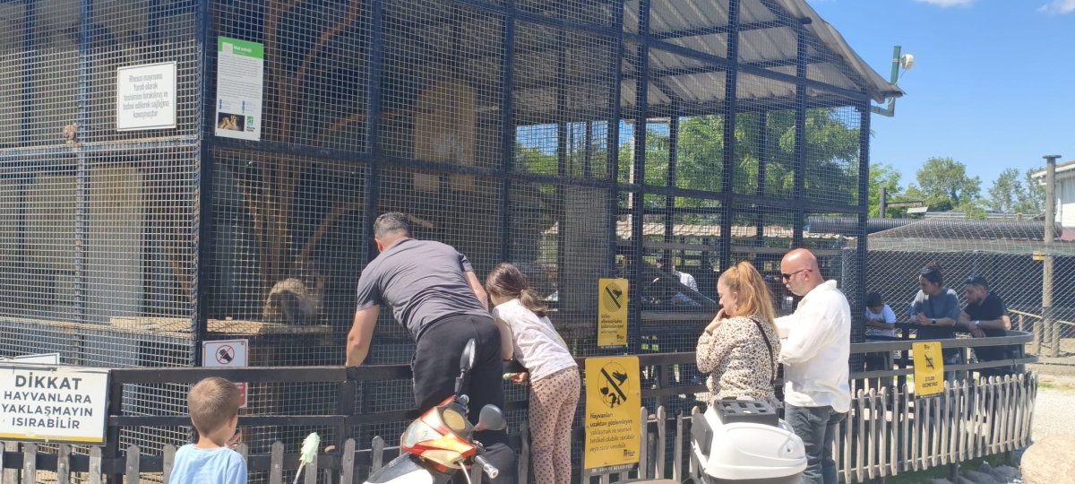 SAKARYA’DA GİRİŞLERİN ÜCRETSİZ OLDUĞU DOĞA CENNETİ: ARİFİYE GÖLYA TABİAT PARKI ZİYARETÇİLERİNİ BÜYÜLÜYOR! (GÜNÜN ÖNE ÇIKAN FOTOĞRAF KARELERİ )
