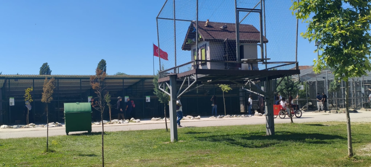 SAKARYA’DA GİRİŞLERİN ÜCRETSİZ OLDUĞU DOĞA CENNETİ: ARİFİYE GÖLYA TABİAT PARKI ZİYARETÇİLERİNİ BÜYÜLÜYOR! (GÜNÜN ÖNE ÇIKAN FOTOĞRAF KARELERİ )