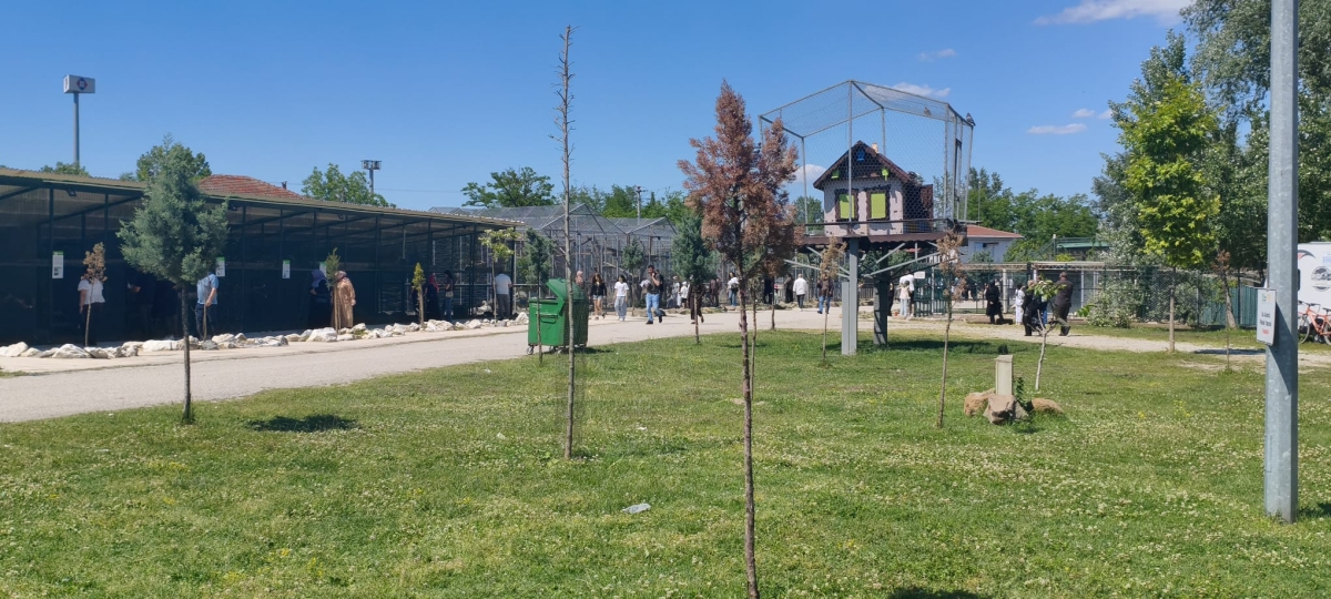 SAKARYA’DA GİRİŞLERİN ÜCRETSİZ OLDUĞU DOĞA CENNETİ: ARİFİYE GÖLYA TABİAT PARKI ZİYARETÇİLERİNİ BÜYÜLÜYOR! (GÜNÜN ÖNE ÇIKAN FOTOĞRAF KARELERİ )