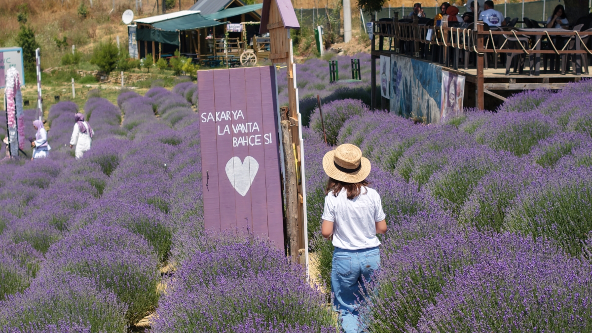 Sakarya Kültür ve Sanatla Şahlanıyor: Türkiye Kültür Yolu Festivali Başlıyor! Türkiye Kültür Yolu Festivali’nin dokuzuncu durağı olan Sakarya, 4-12 Temmuz tarihleri arasında dev bir kültür-sanat şölenine ev sahipliği yapmaya
