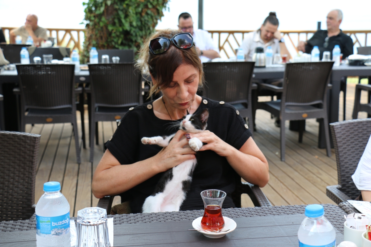 BAŞARIDAN BAŞARIYA KOŞAN VİZYONER BAŞKAN OSMAN ÇELİK'TEN SERDİVAN'A HİZMET FIRTINASI!