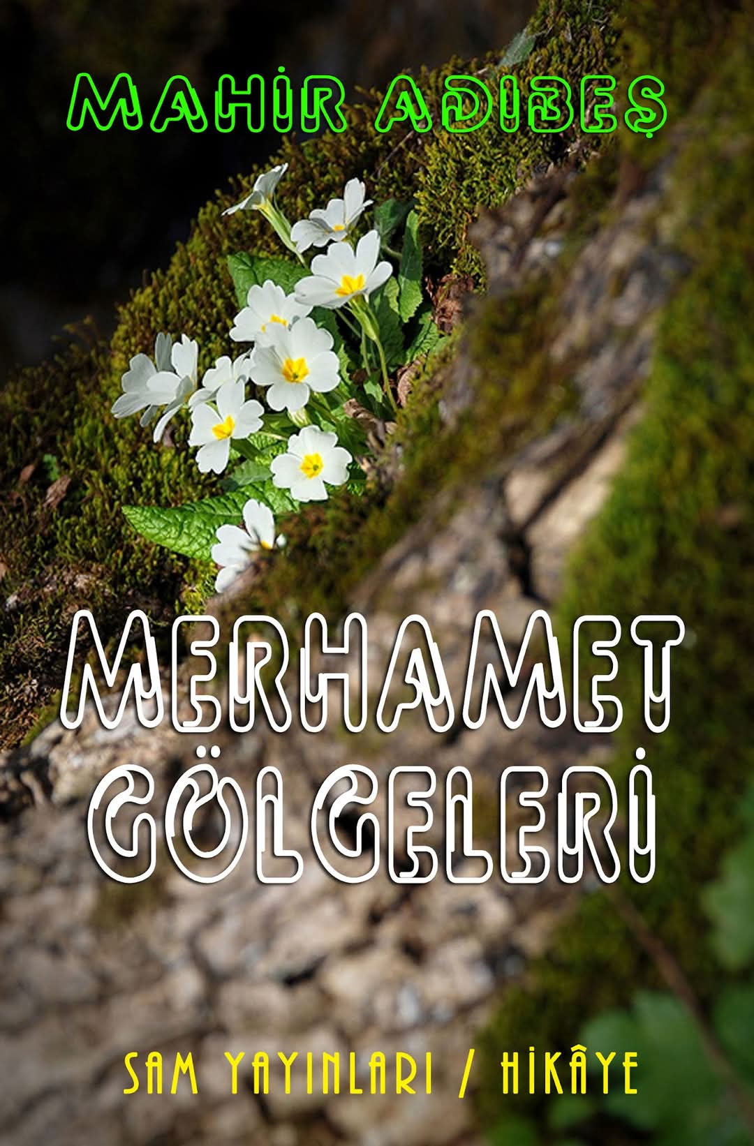 Merhamet Gölgeleri: Unuttuğumuz İnsanlığı Hatırlatan Bir Kitap