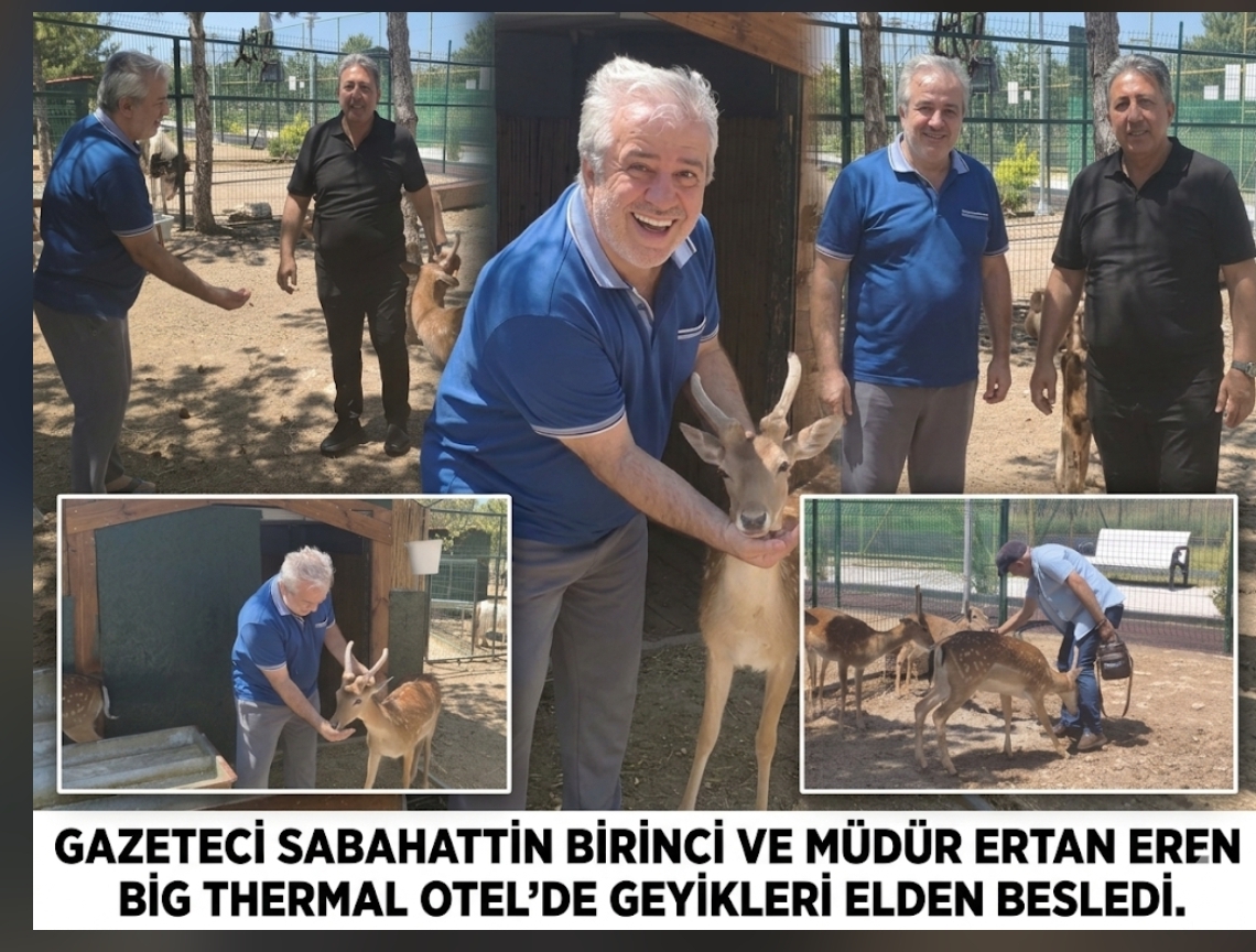 TERMALİN ZİRVESİNDE DOĞA MUCİZESİ: BİG THERMAL OTEL’DE GEYİKLER ELDEN BESLENİYOR!