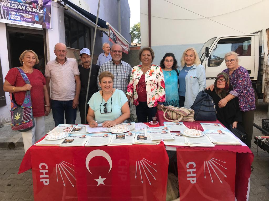 CHP Bilecik İl Kadın Kadın Kolları Pazaryeri ilçesinde stant açtı