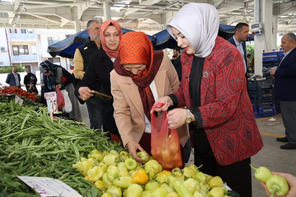 Sakarya Milletvekili Çiğdem Erdoğan Atabek'ten Erenler Çıkartması