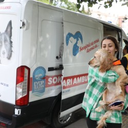 Sokak Hayvanları Ambulansı mahallelerde