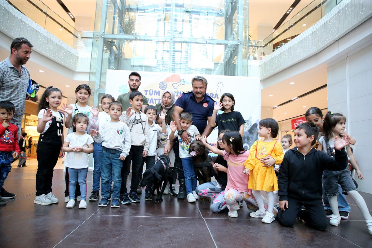 Sakarya'da Pati Festivali renkli görüntülere sahne oldu