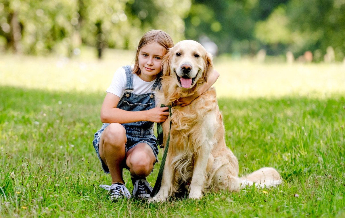 Dikkat! Köpeğinizin burnundan köpük veya sarı safra geliyorsa ve karnında şişme varsa GDV, yani mide dönmesinden muzdarip olabilir!