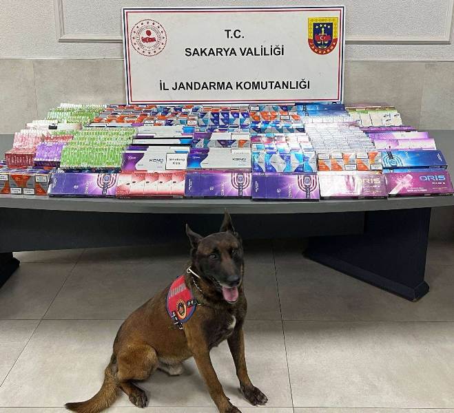 JANDARMADAN 3 İLÇEDE KAÇAKÇILIK DARBESİ: BİNLERCE MALZEME ELE GEÇİRİLDİ!