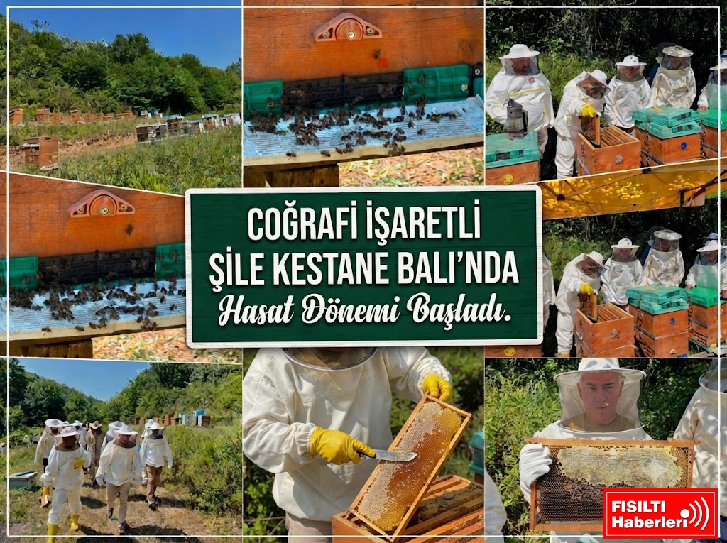 ŞİLE’NİN 
