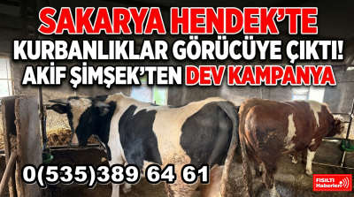 Haber videoları