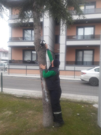Haber videoları